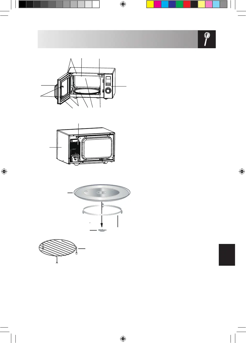 Page #231 background image