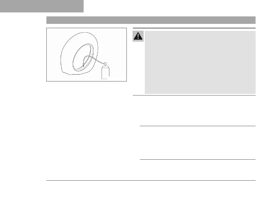 Page #306 background image