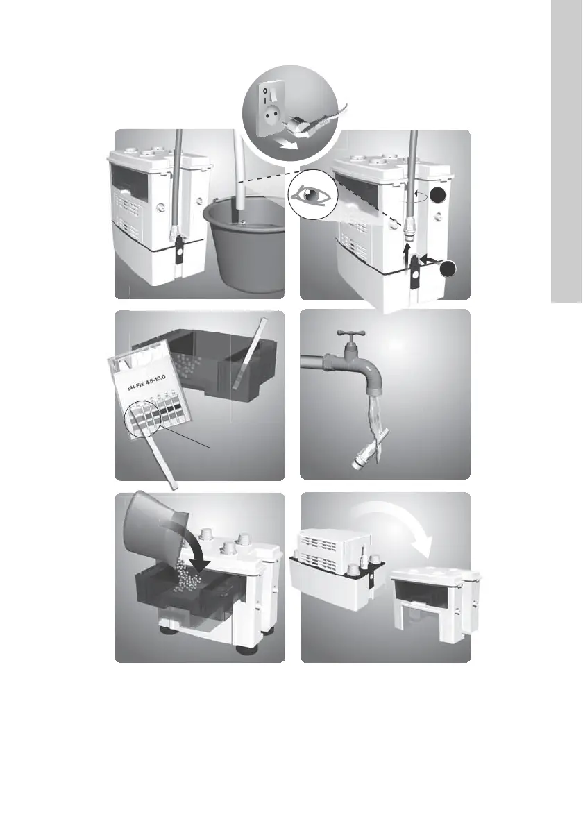 Page #11 background image