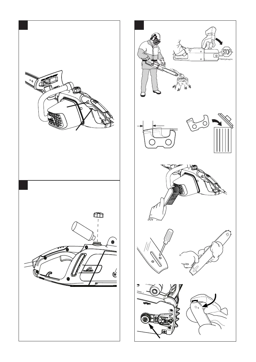 Page #7 background image