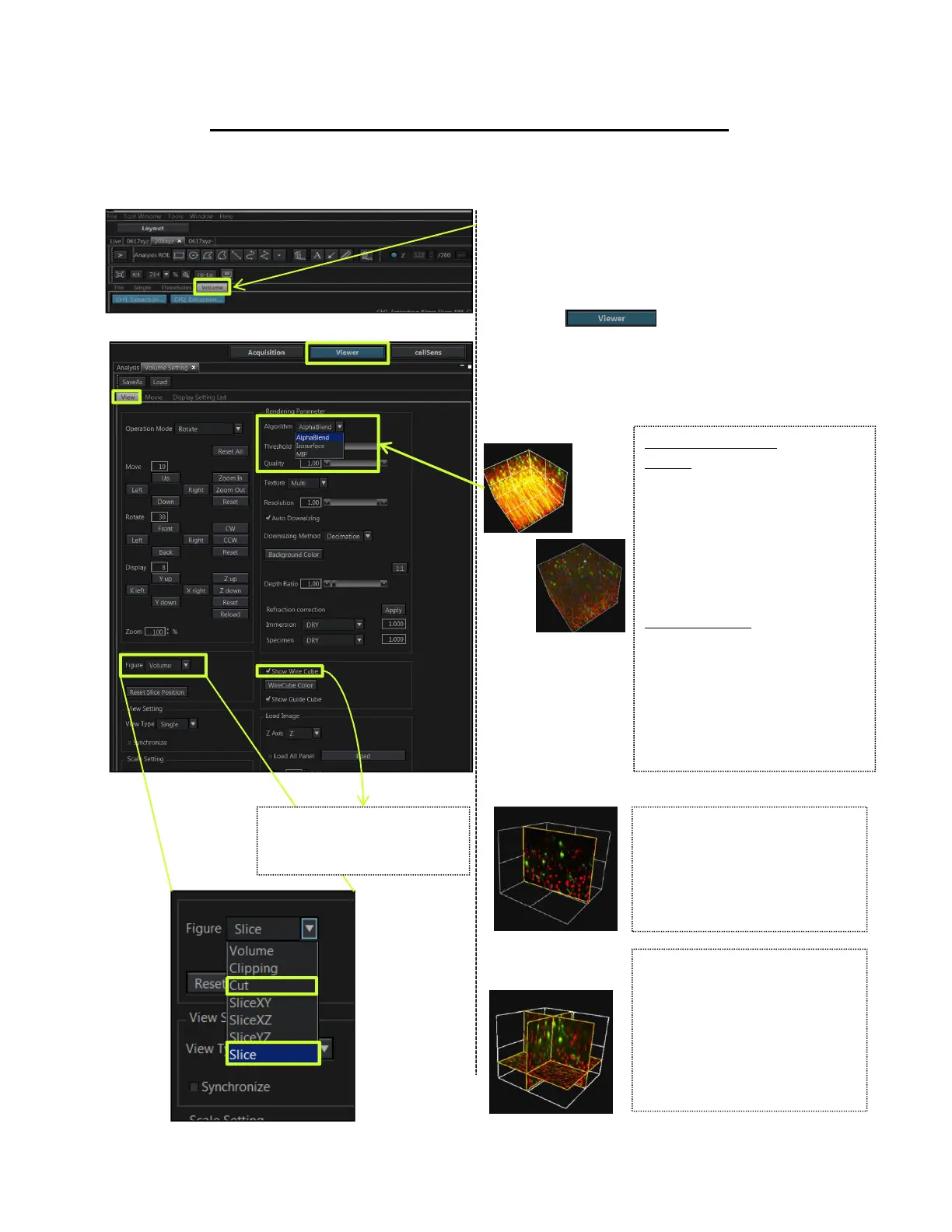 Page #24 background image