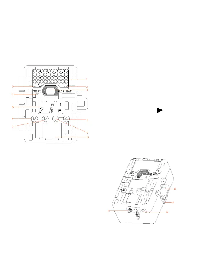 Page #5 background image