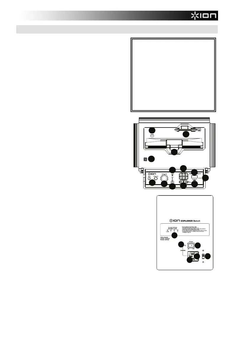 Page #13 background image