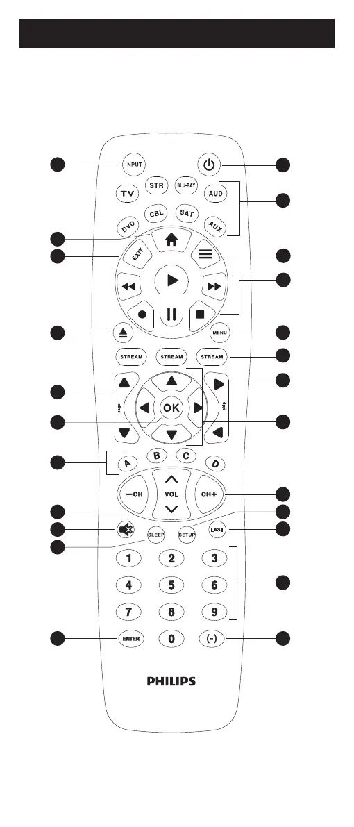 Page #19 background image