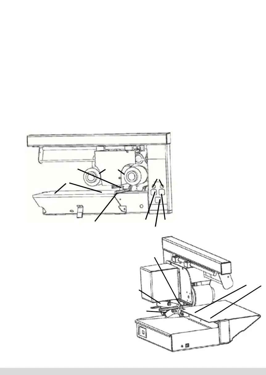 Page #65 background image