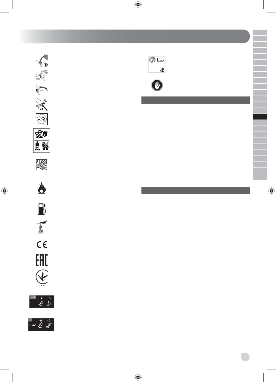 Page #185 background image