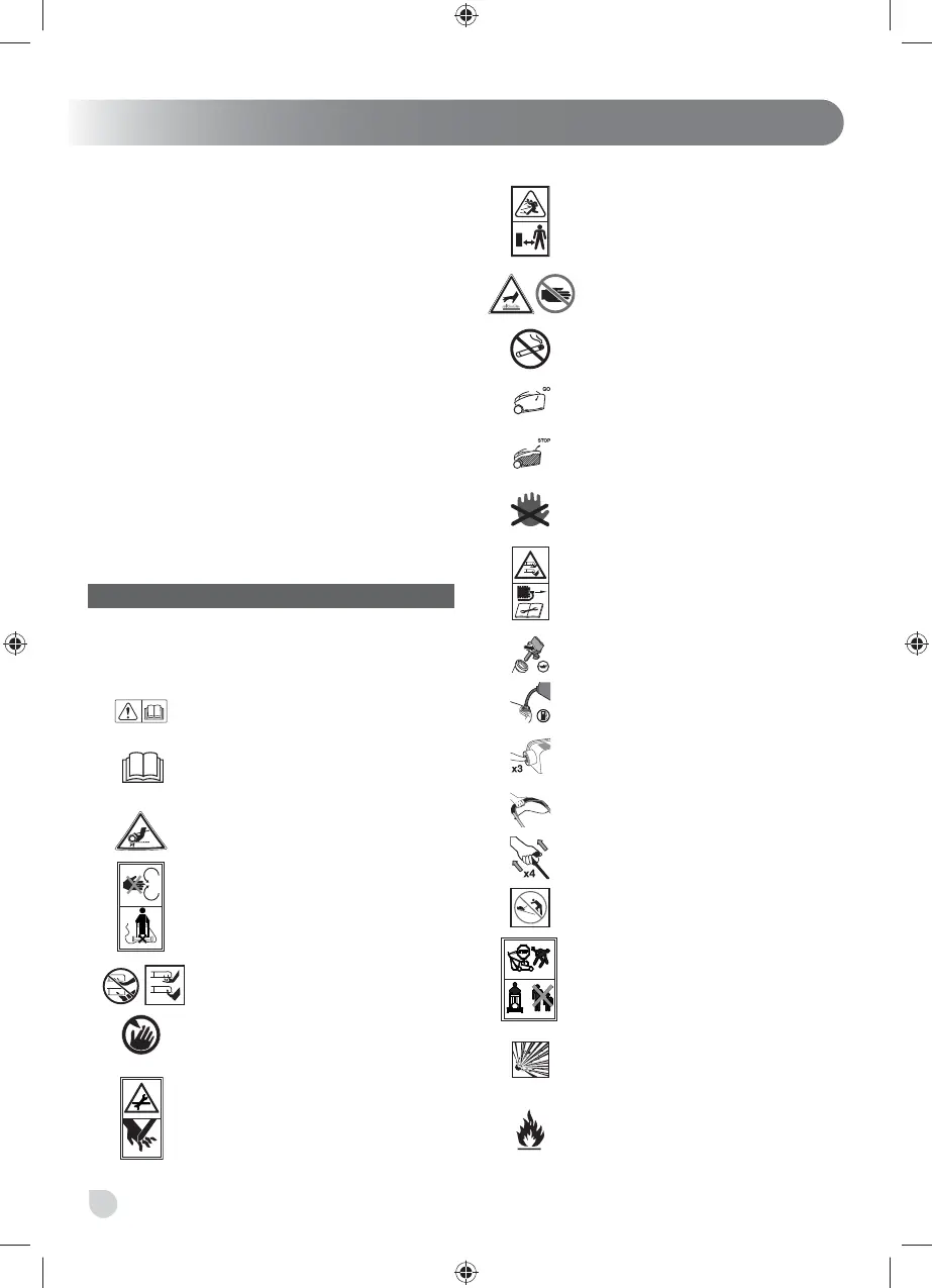 Page #222 background image
