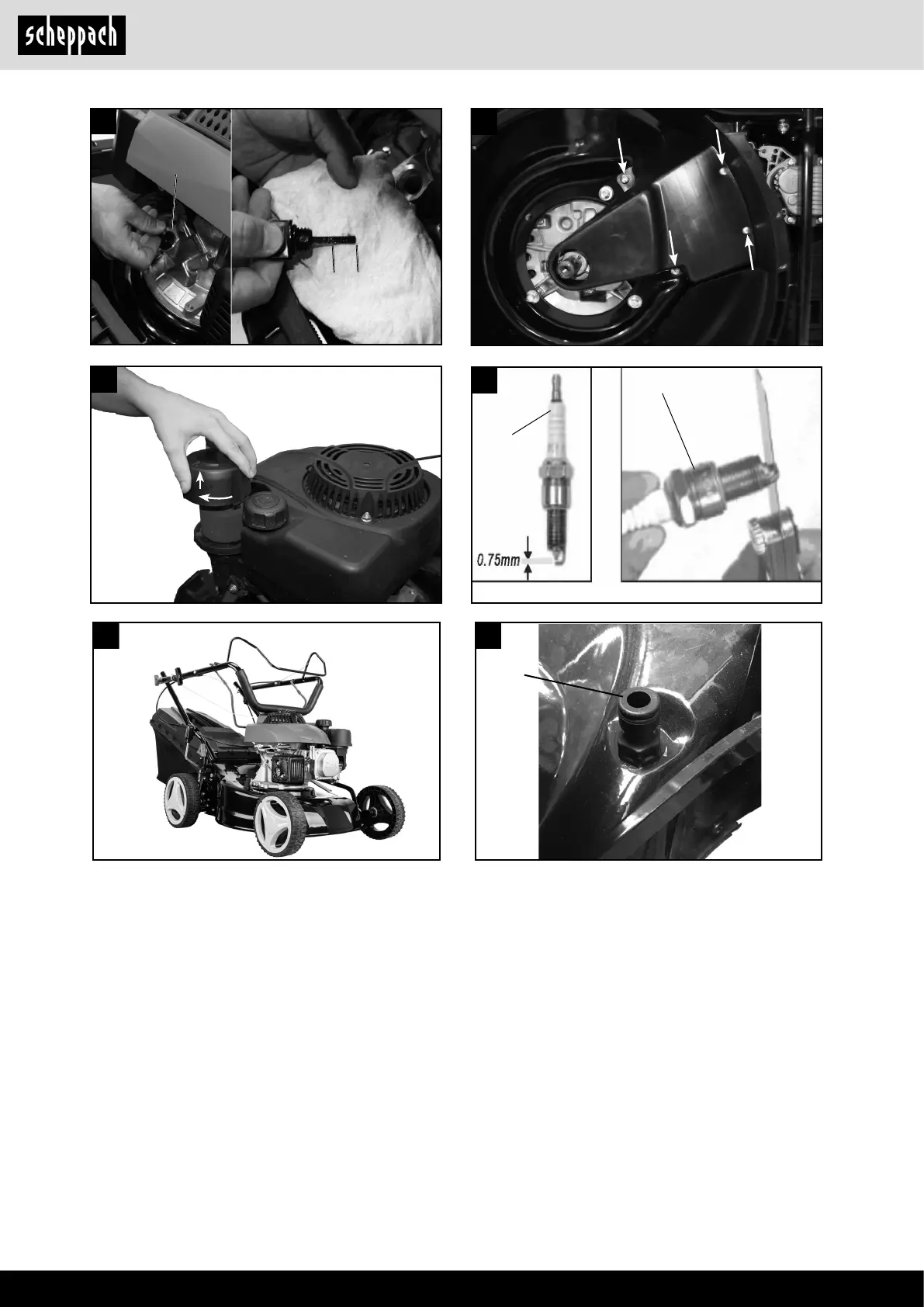 Page #6 background image