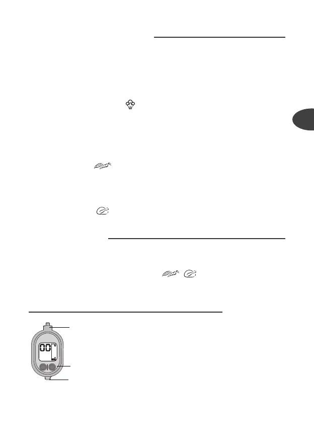 Page #81 background image