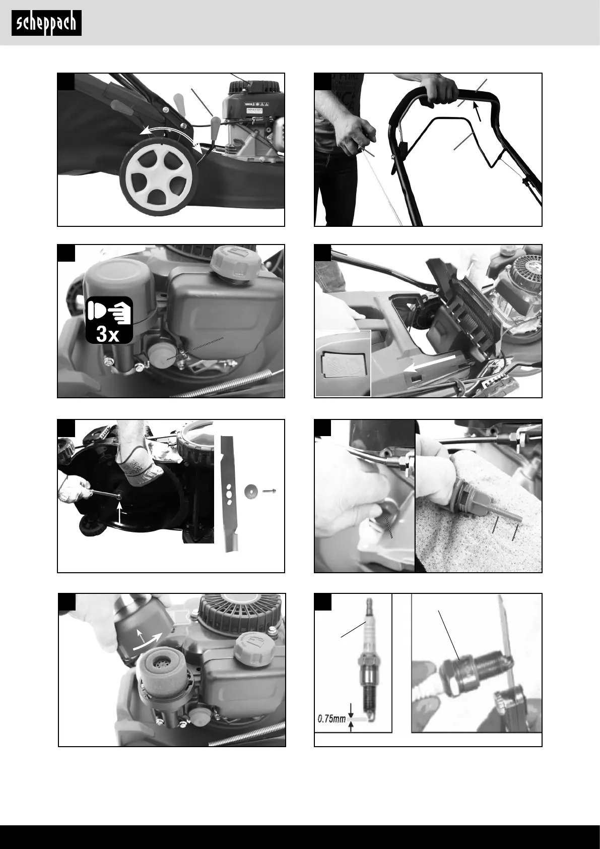 Page #4 background image