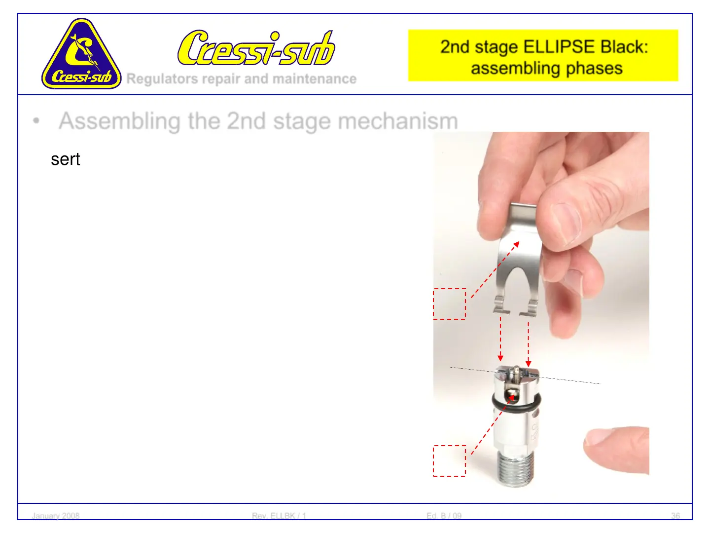Page #36 background image