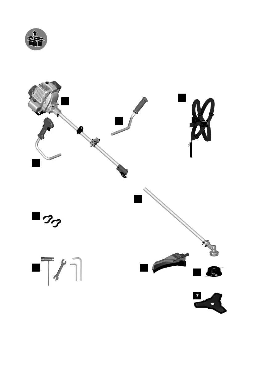 Page #2 background image