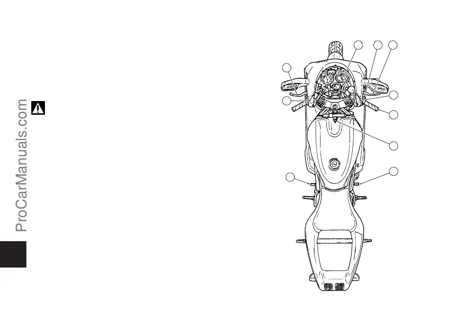 Page #238 background image