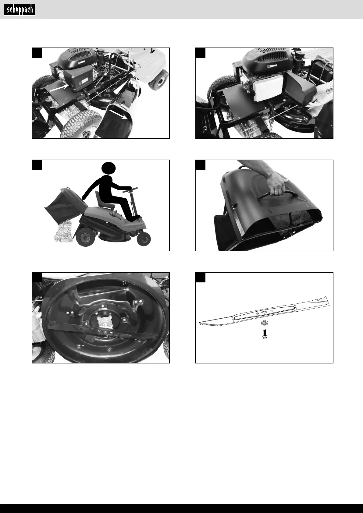 Page #10 background image