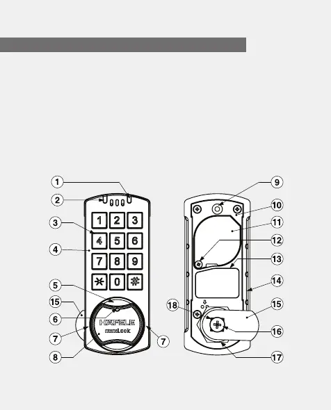Page #26 background image