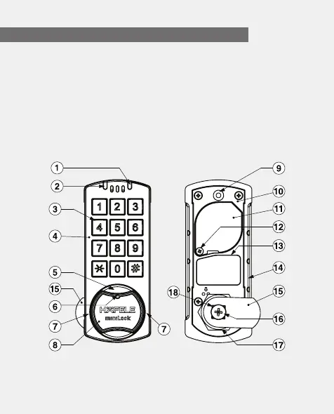 Page #2 background image