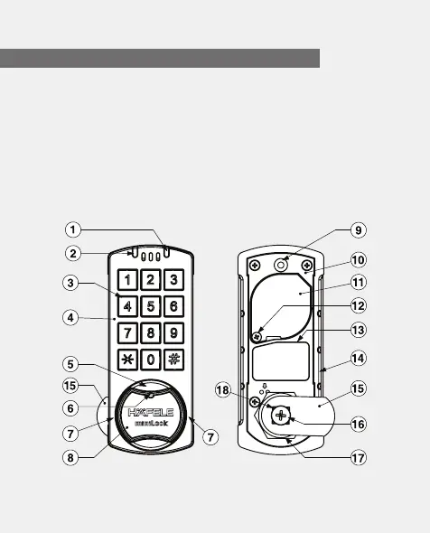 Page #8 background image