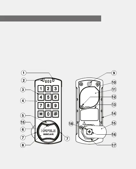 Page #14 background image