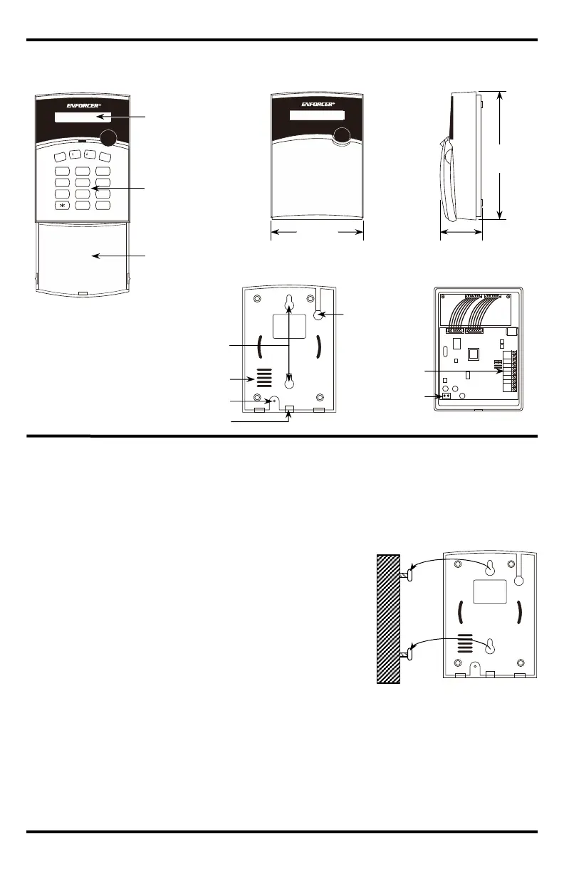 Page #4 background image