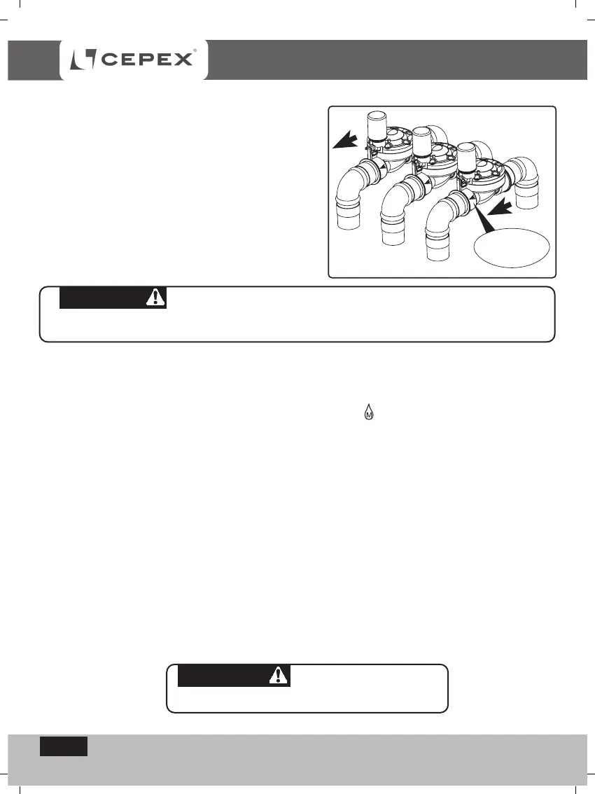 Page #5 background image