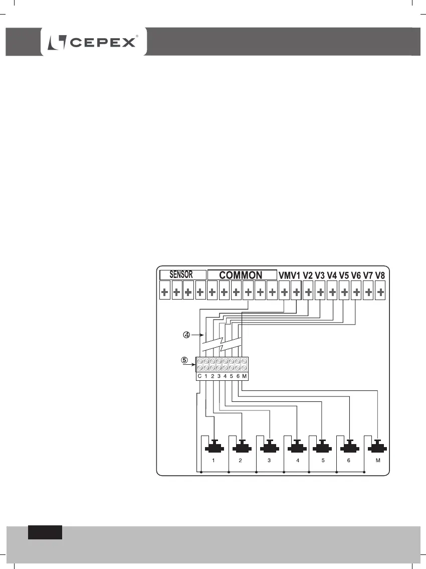 Page #9 background image
