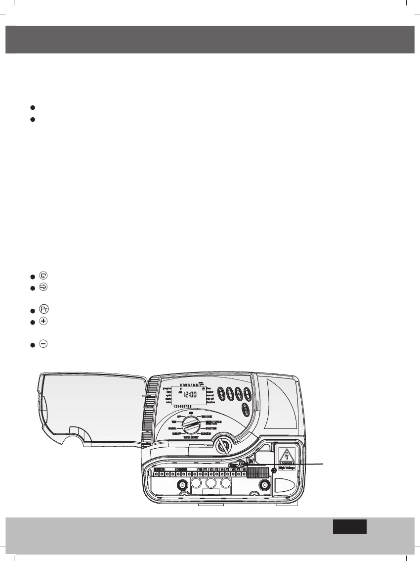 Page #14 background image