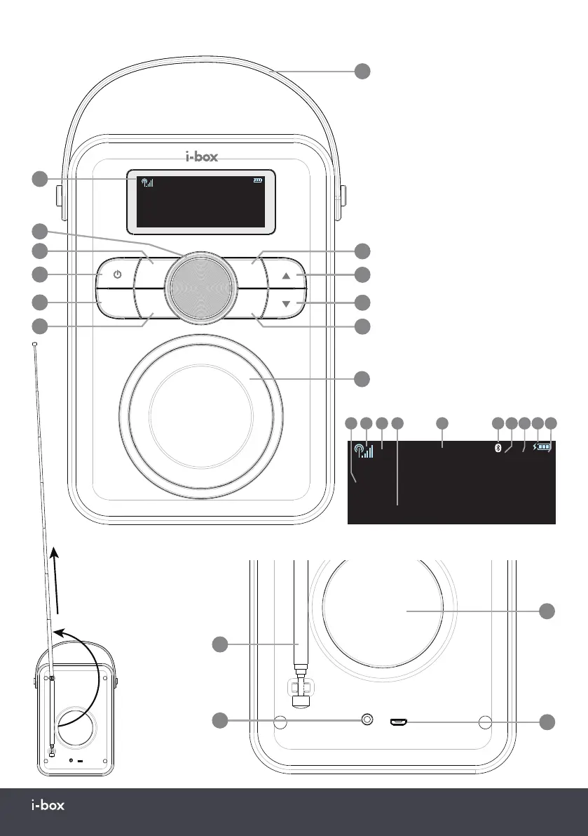 Page #11 background image