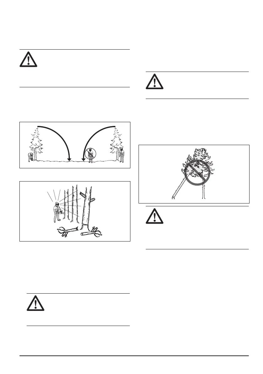 Page #131 background image