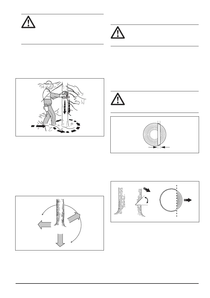 Page #211 background image