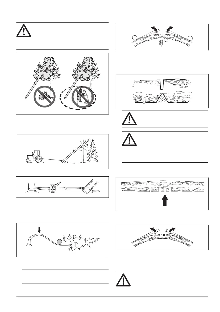 Page #213 background image