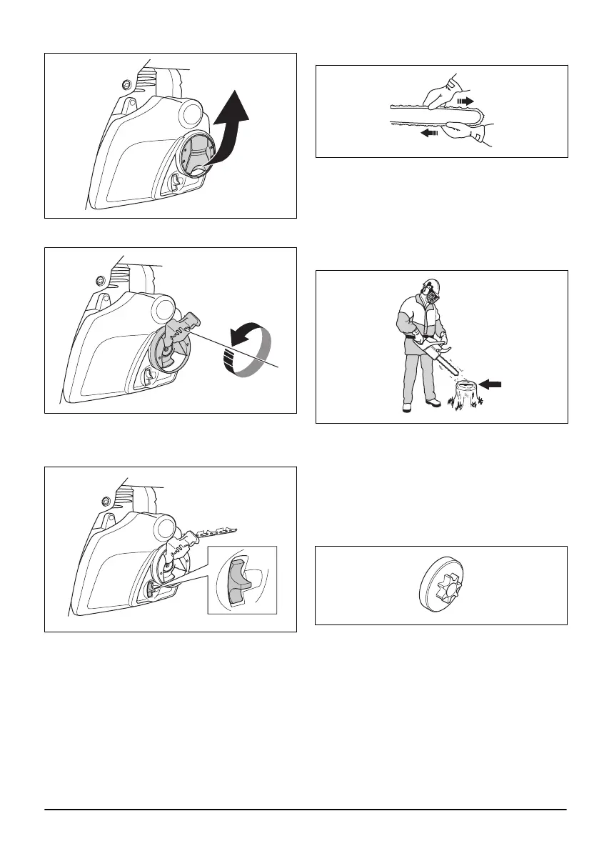 Page #223 background image