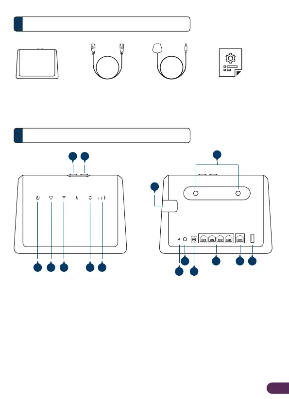 Page #2 background image