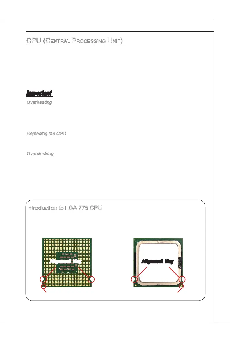 Page #19 background image