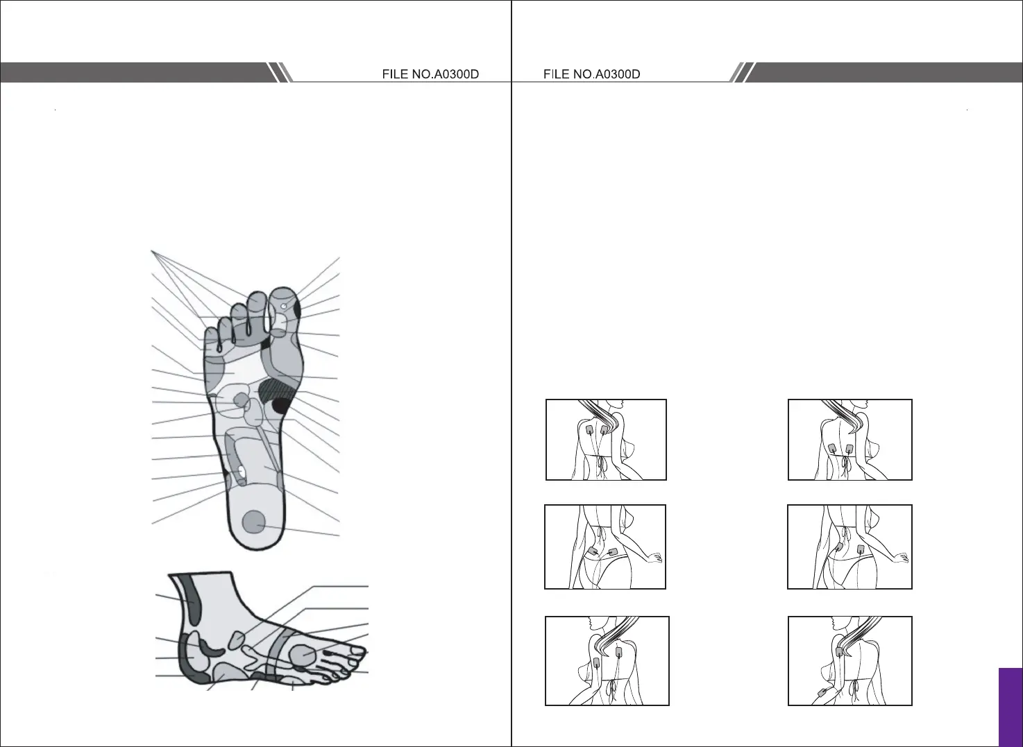 Page #4 background image