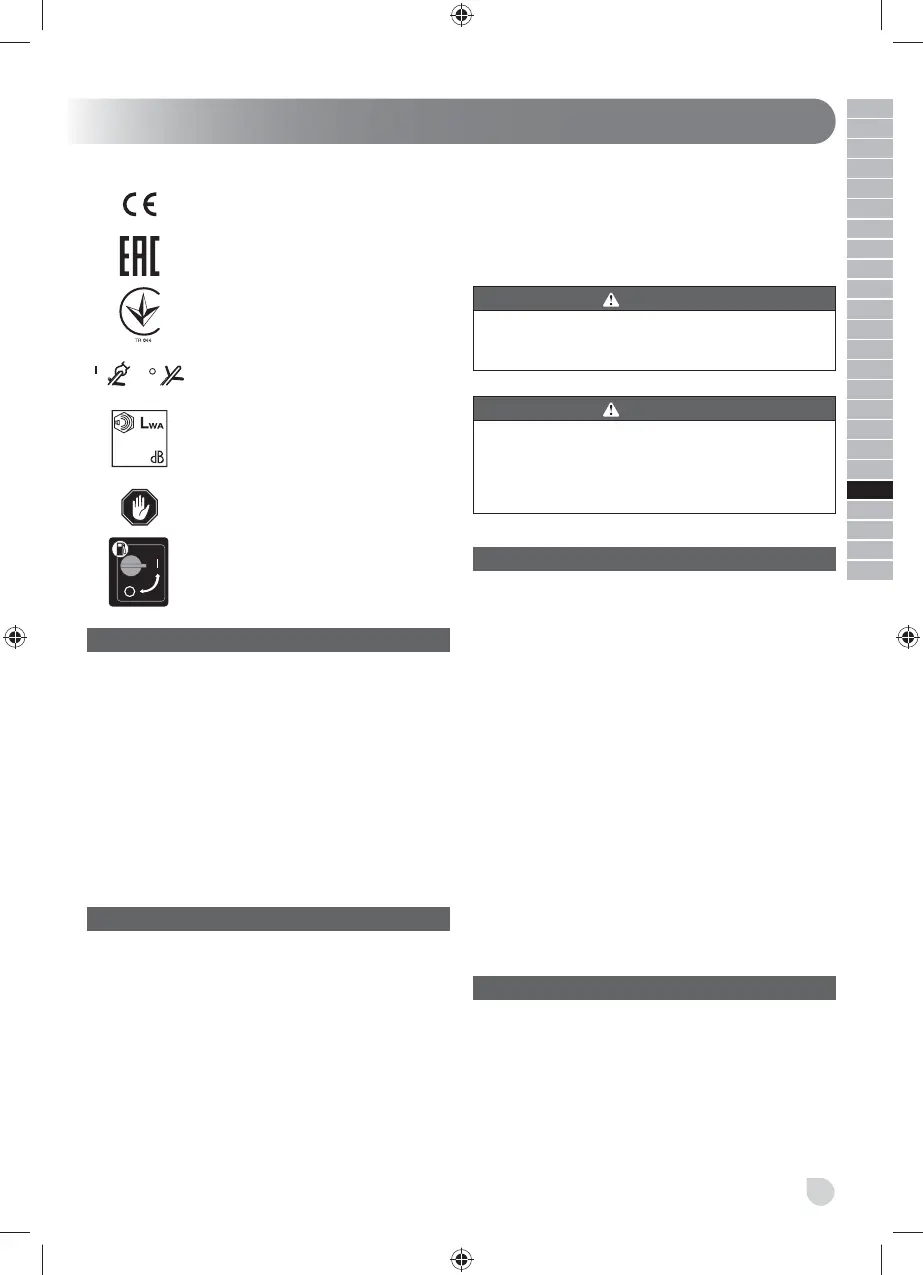 Page #247 background image
