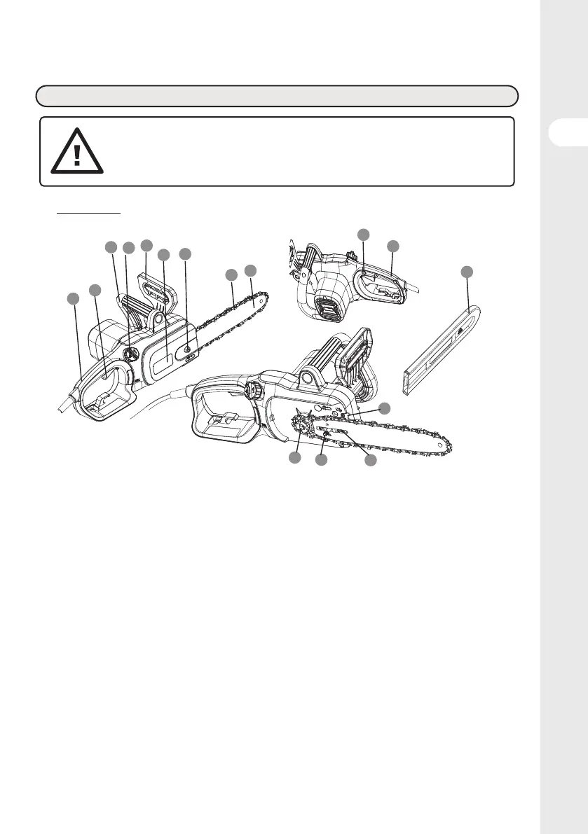 Page #13 background image