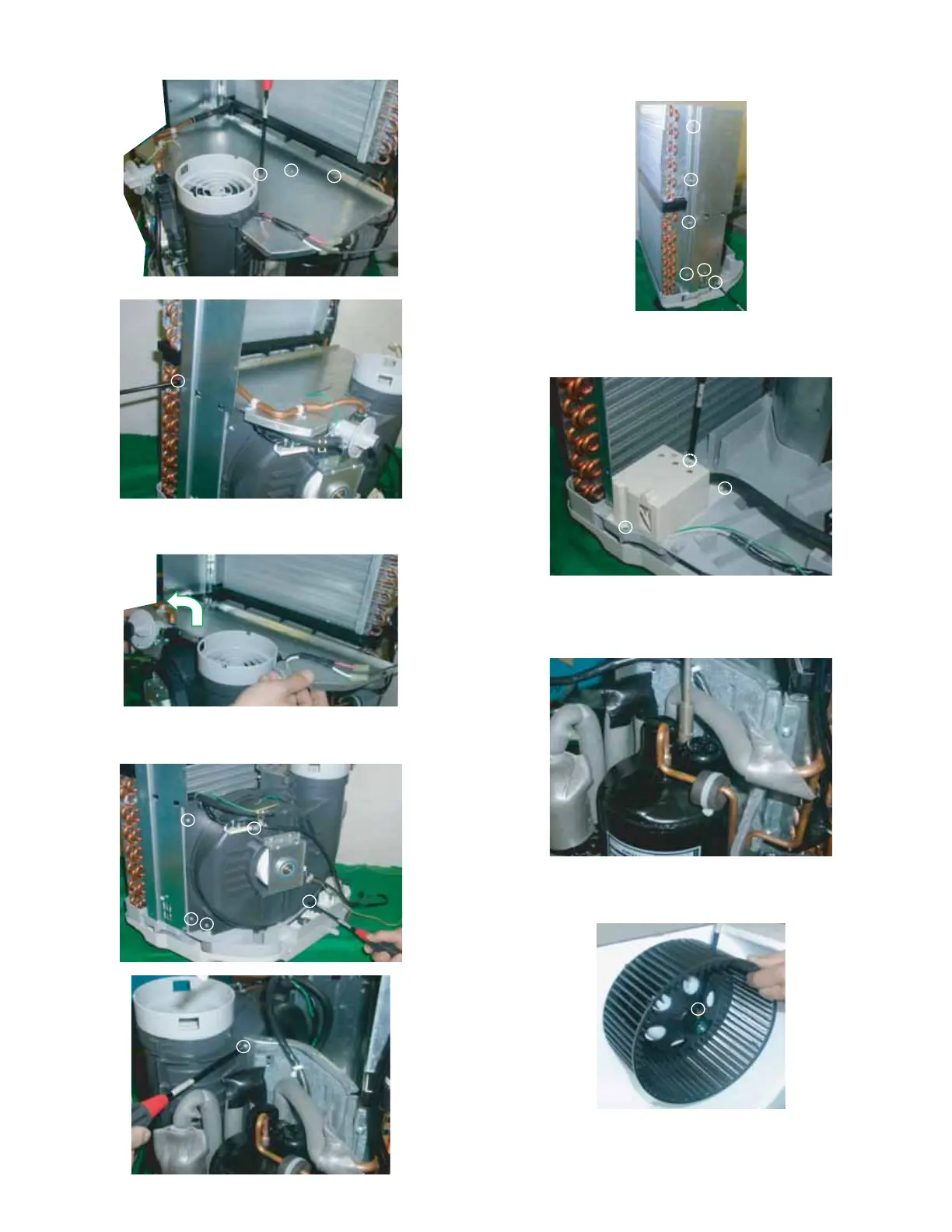 Page #12 background image