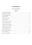 Preview: Program Manual