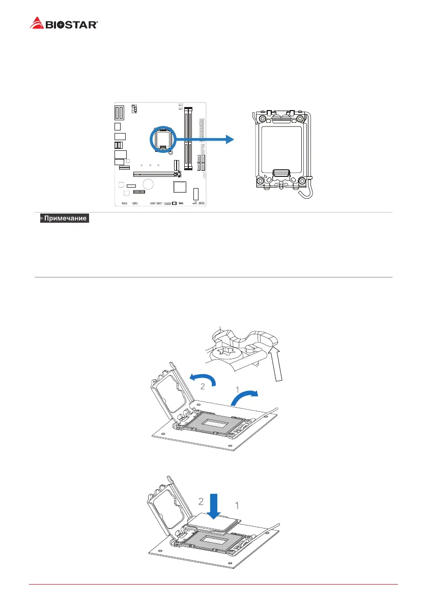 Page #44 background image
