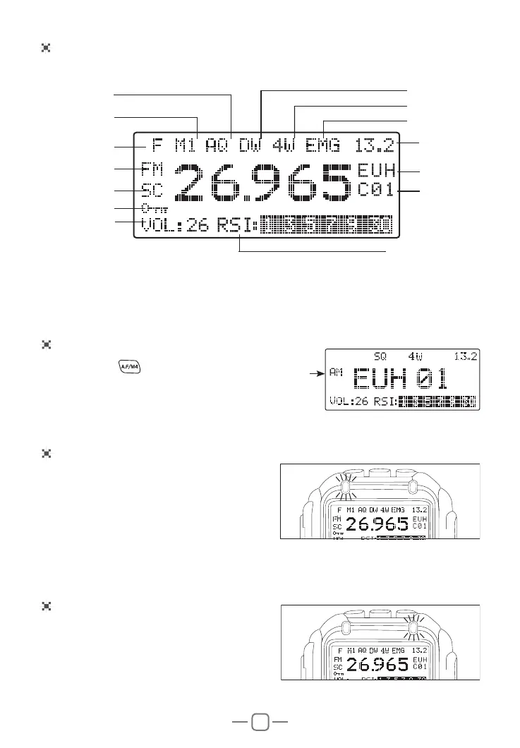 Page #11 background image