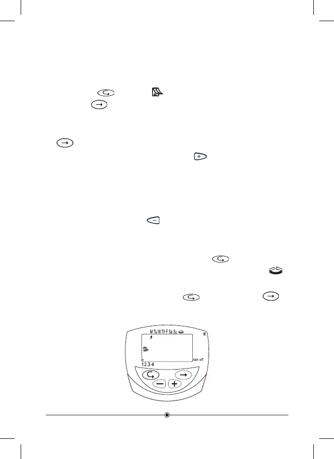 Page #13 background image