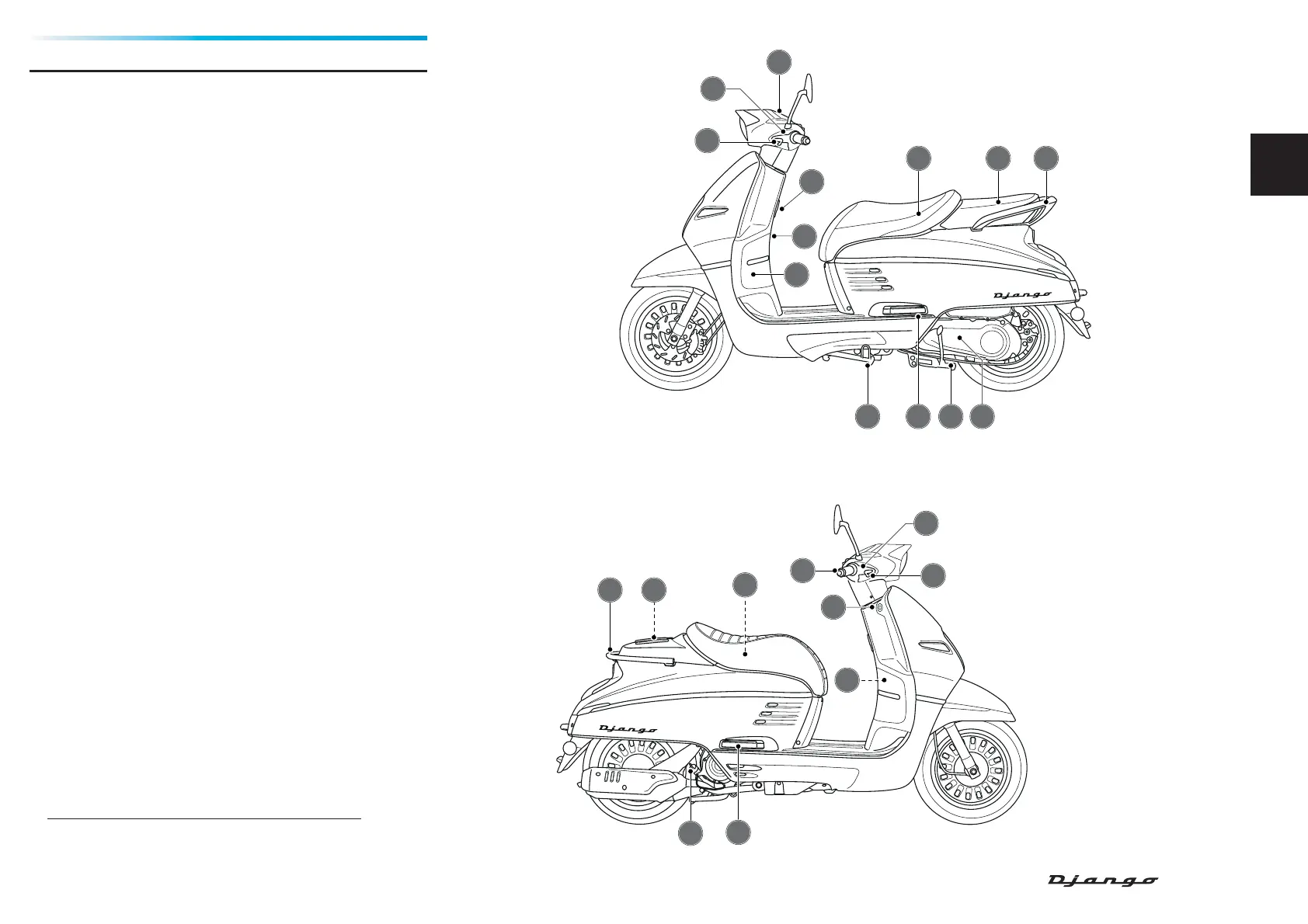 Page #13 background image