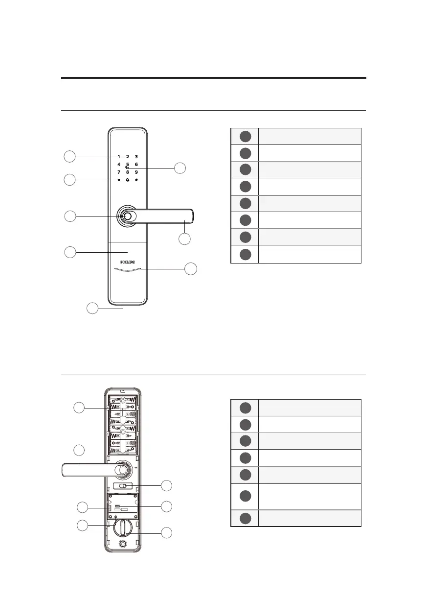 Page #11 background image