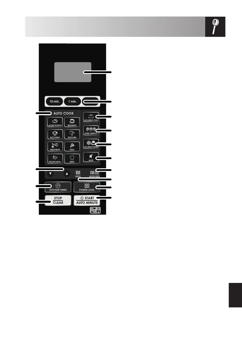 Page #313 background image