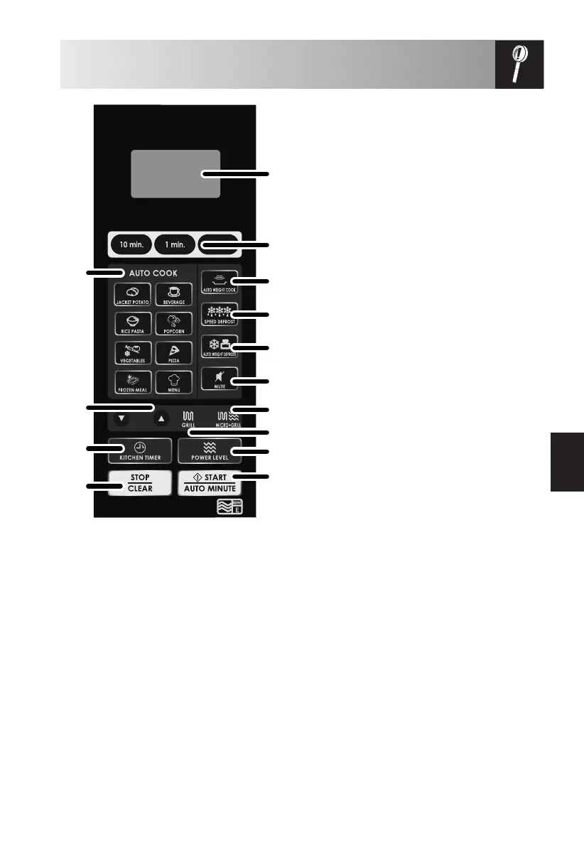 Page #177 background image