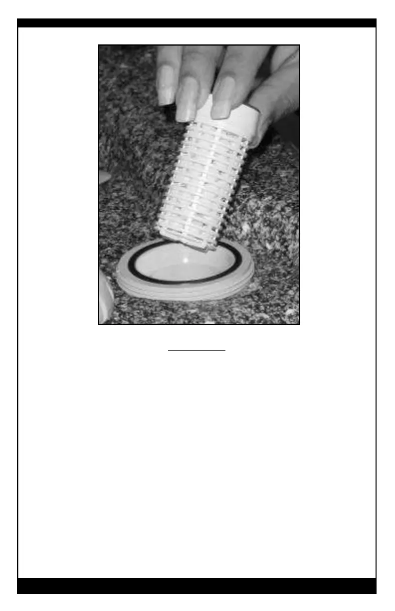 Page #24 background image