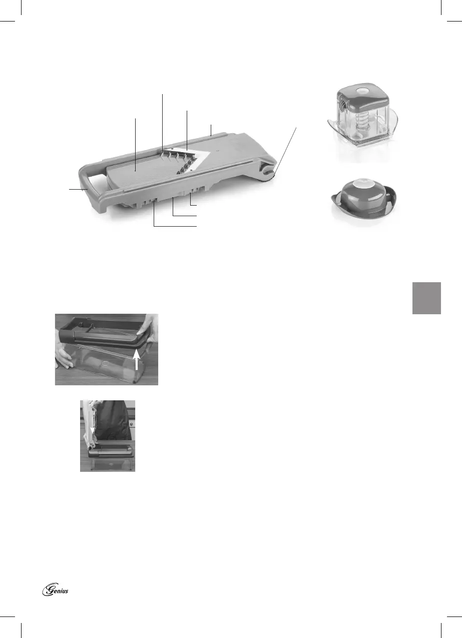 Page #23 background image