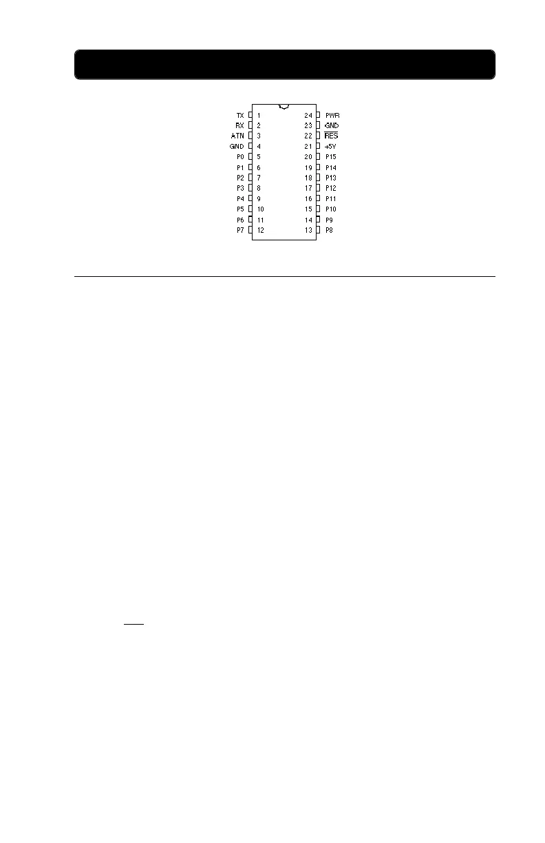 Page #7 background image