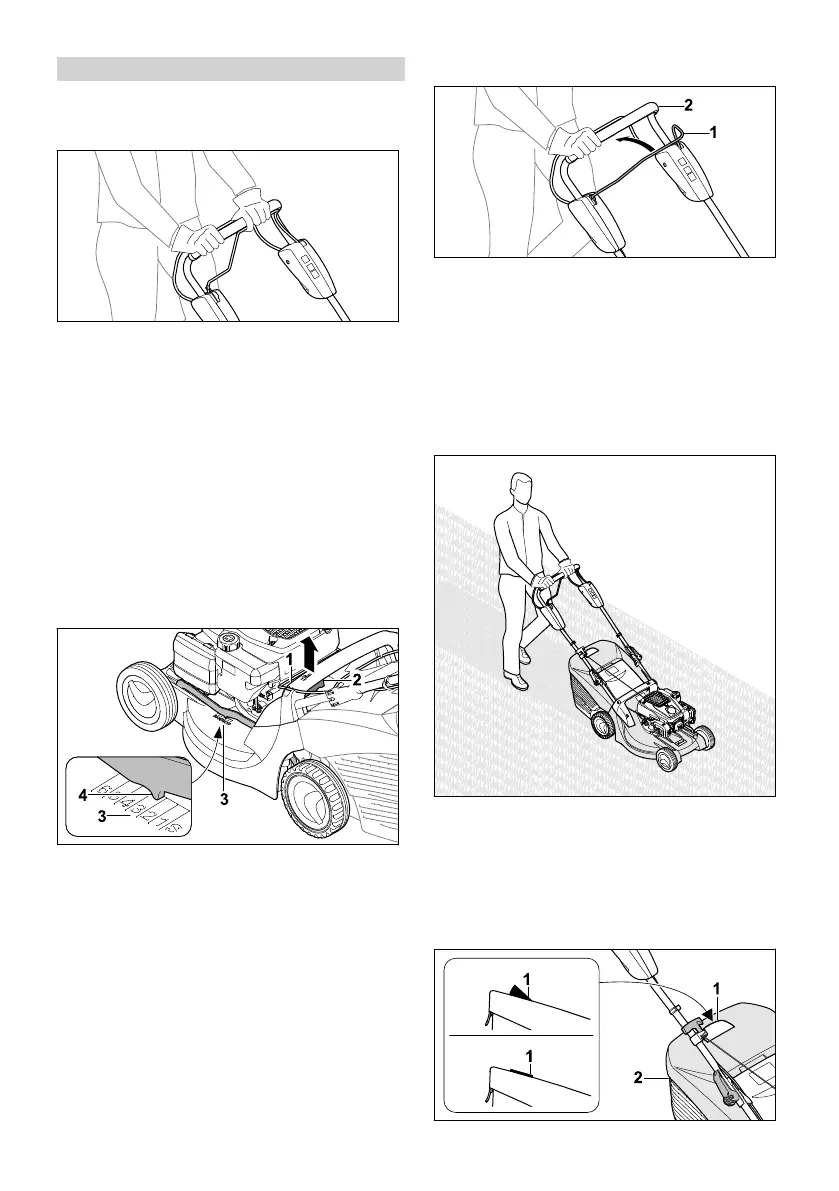 Page #300 background image