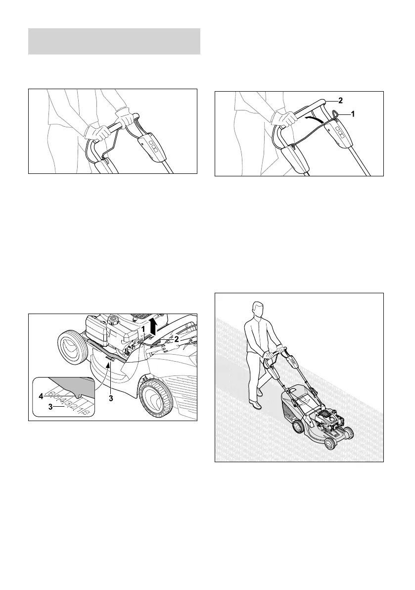 Page #319 background image